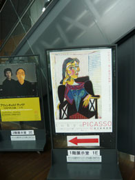 picaso1.jpg