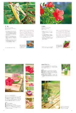 herb_book_ushi.jpg