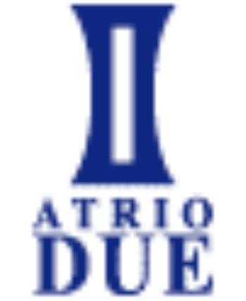 atrio_logo.jpg