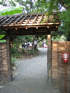 DSCF4630.jpg