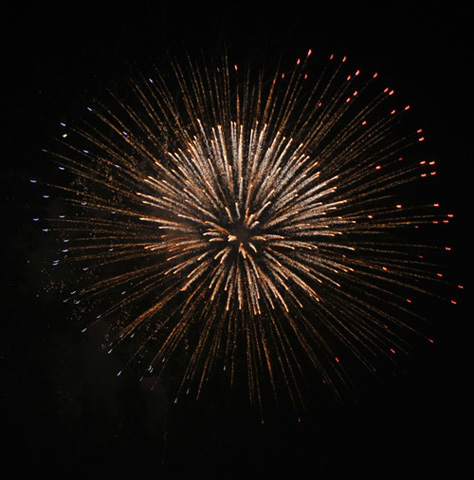DSC_0594a.jpg