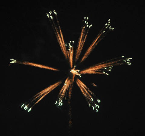 DSC_0718a.jpg