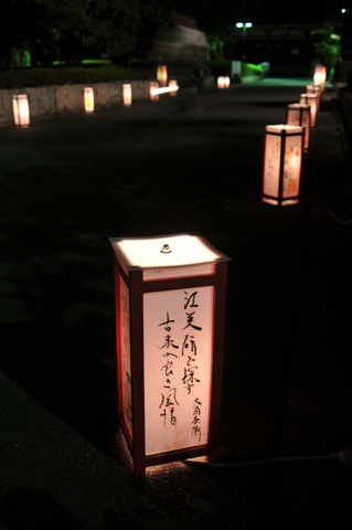 DSC_2462a.jpg