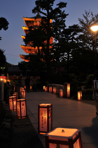 DSC_2547a.jpg
