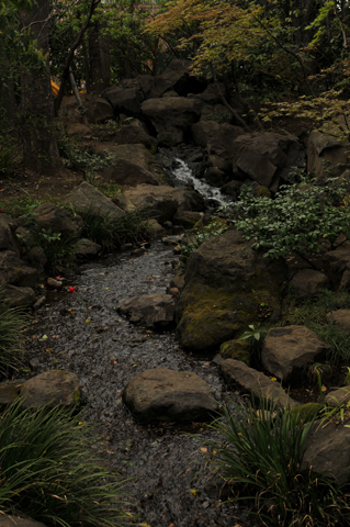 DSC_3856.jpg