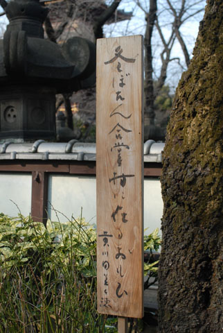 DSC_7542a.jpg