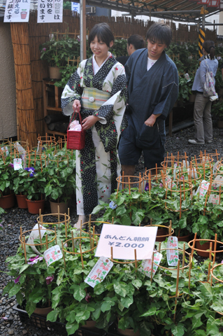 DSC_9505a.jpg