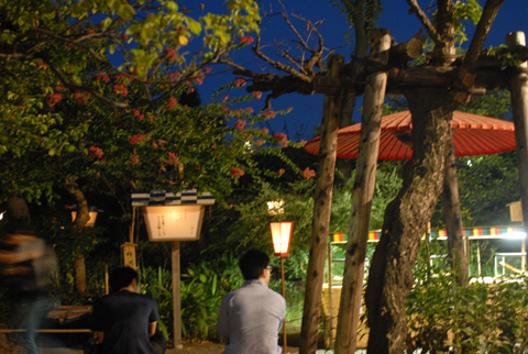 DSC_9877A.jpg