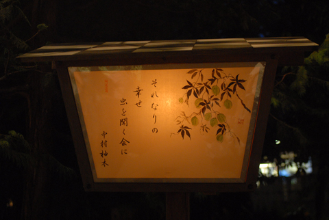 DSC_9879.JPG