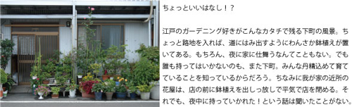 asagao5.jpg