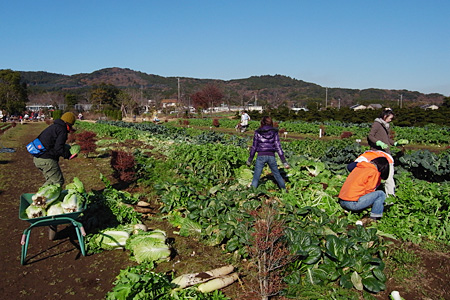 キッチン収穫祭201112_10.jpg