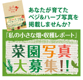 菜園写真大募集！